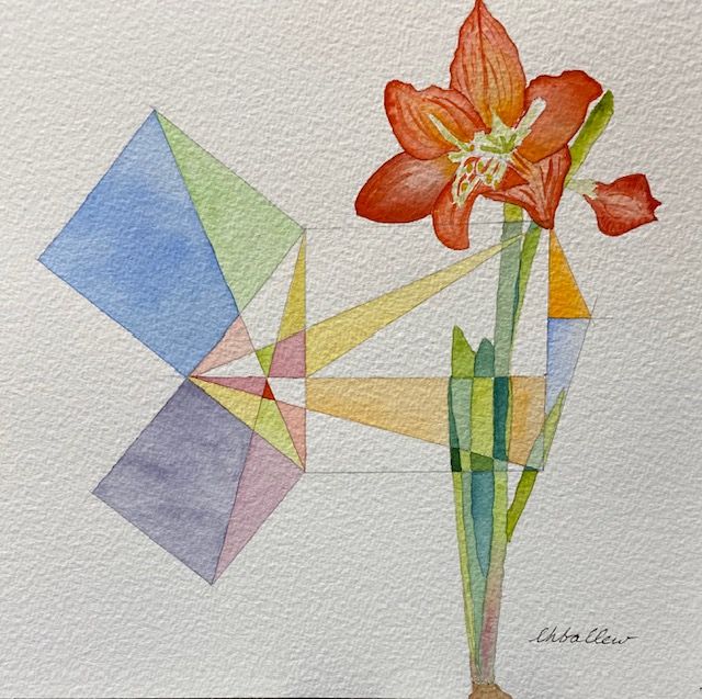 Amaryllis 1
