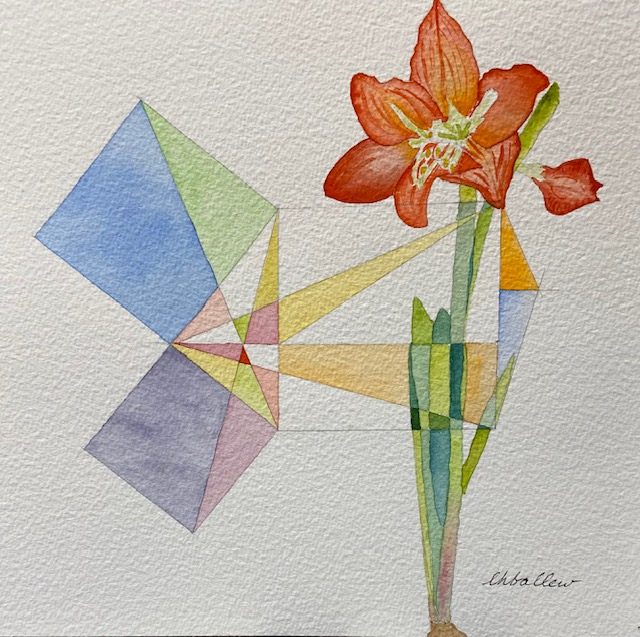 Amaryllis 1