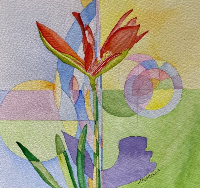 Amaryllis 2