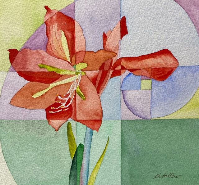 Amaryllis 3
