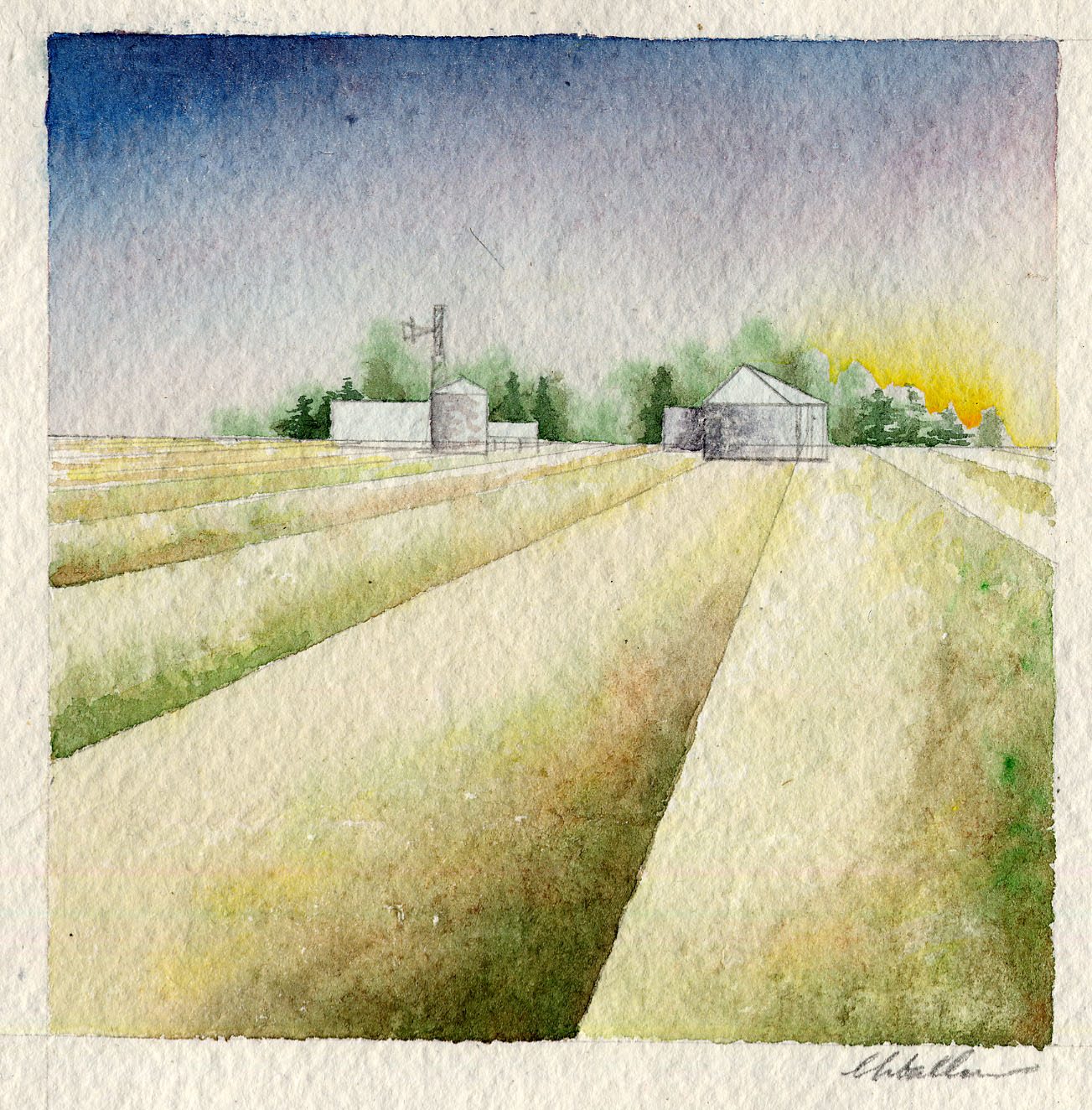 Farm