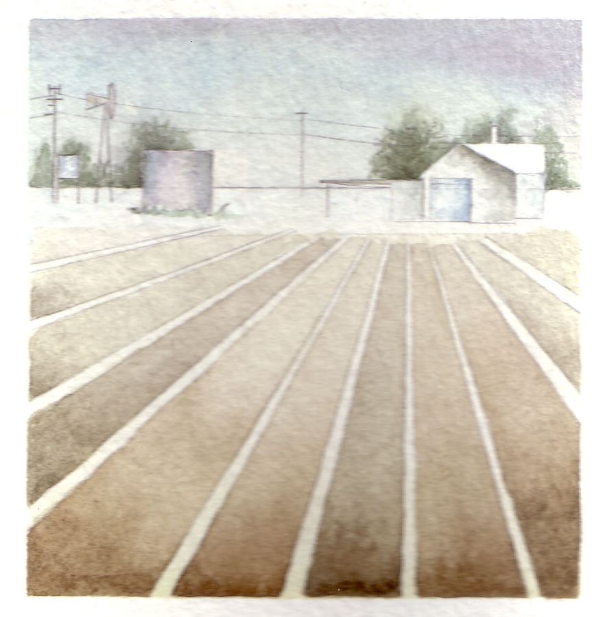 Fields and House