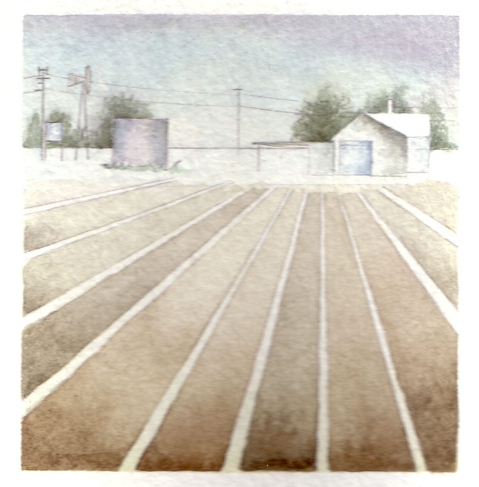 Fields and House