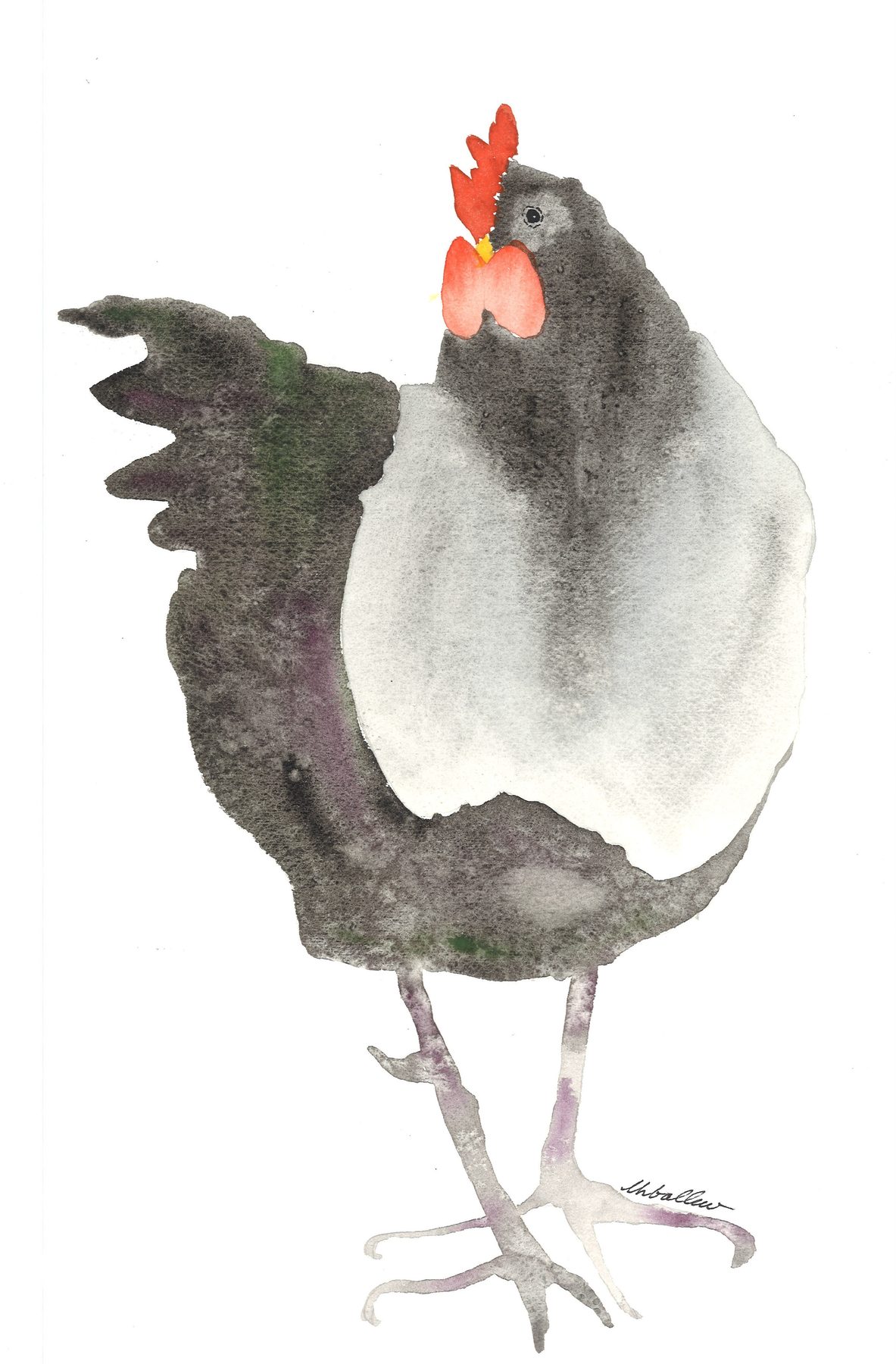 Black Rooster