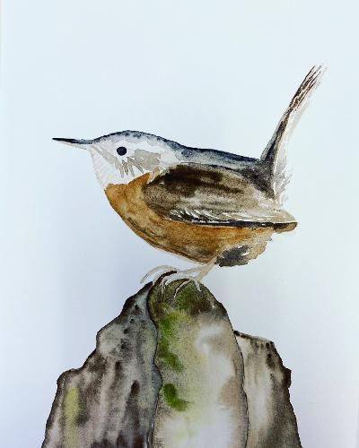 Chickadee