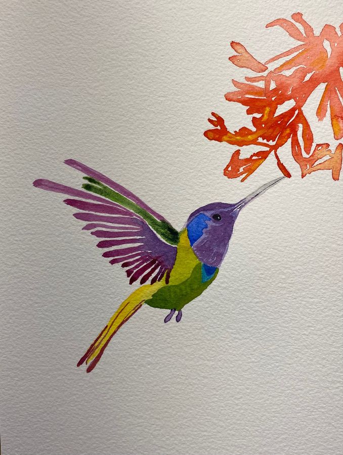 Hummingbird with Red Flower