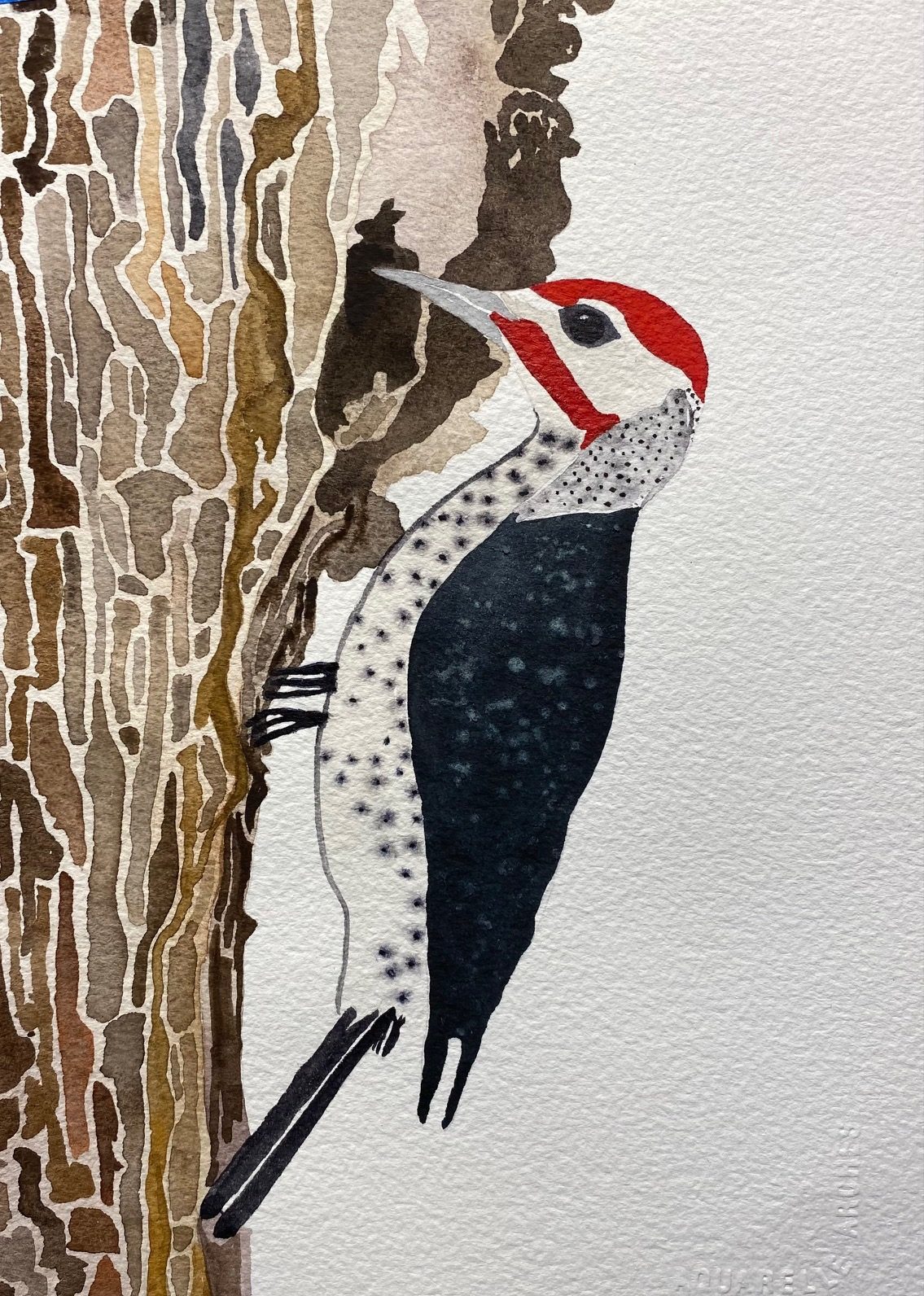 Hummingbird