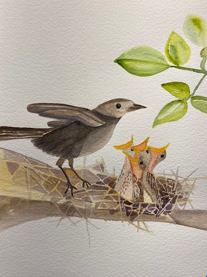 Mama Bird and Chicks