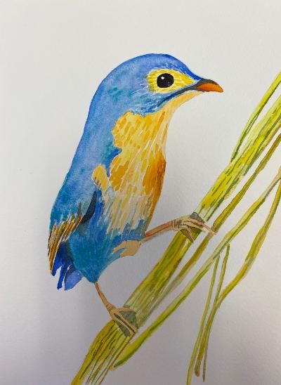 Painted Bunting