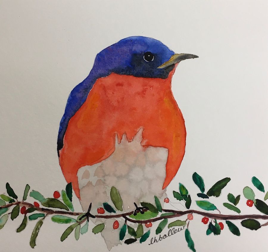 Robin with Holly Branch