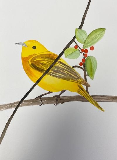 Yellow Bird