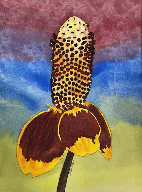 Mexican Hat