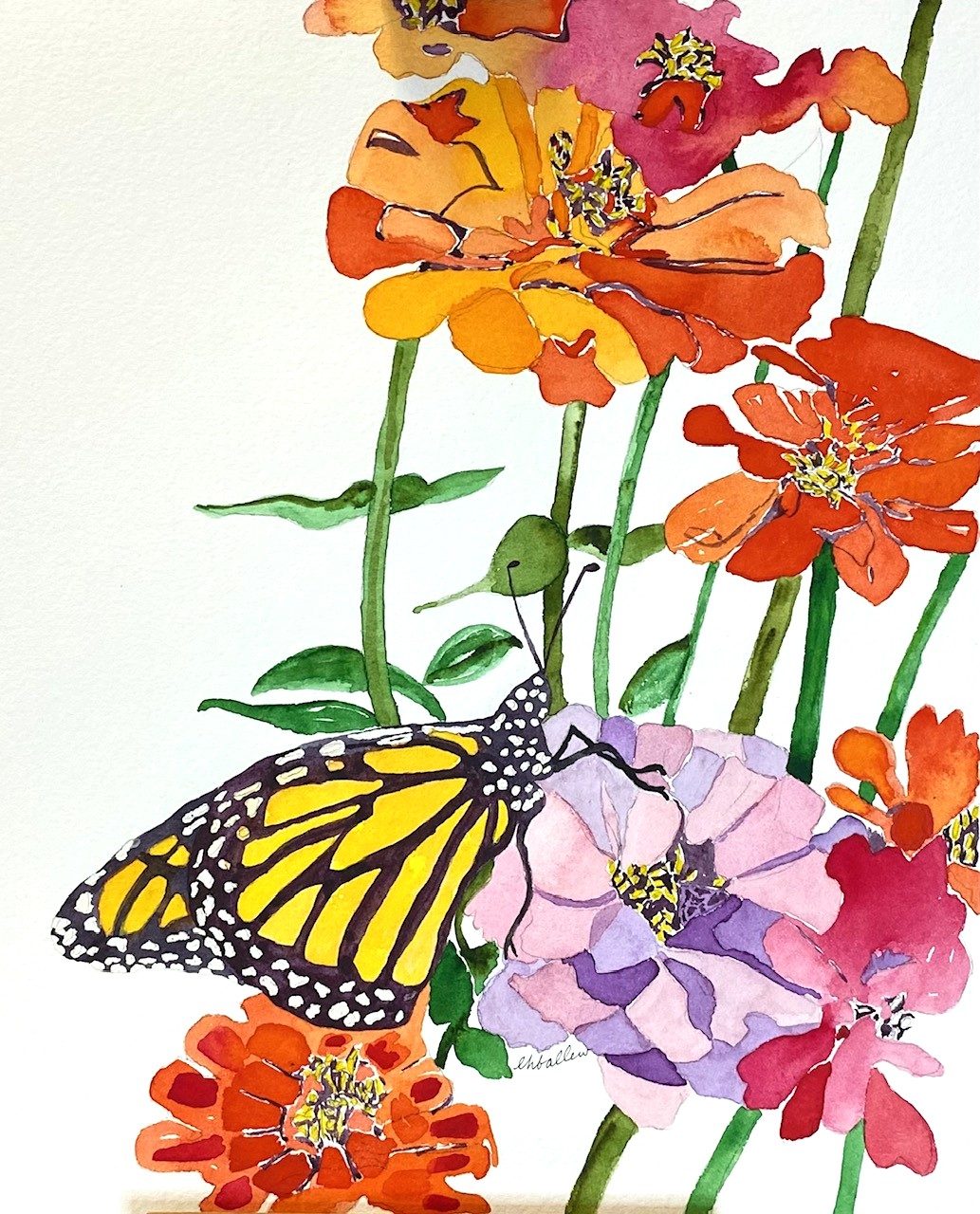 Monarch