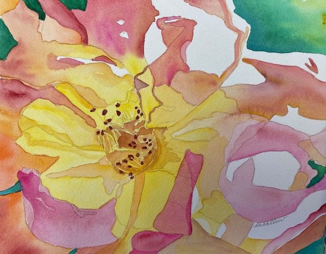 Soft Rose