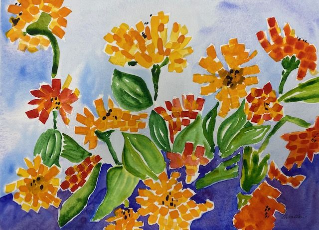 Zinnias